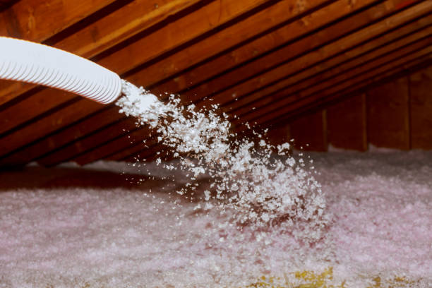 Best Local Insulation Services  in Rkesburg, PA