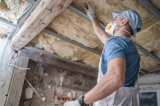 Best Home Insulation Services  in Rkesburg, PA