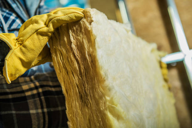 Best Insulation Removal Services  in Rkesburg, PA