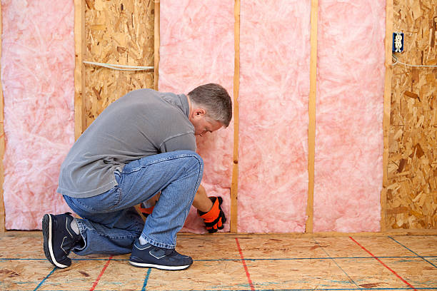 Best Attic Insulation Installation  in Rkesburg, PA