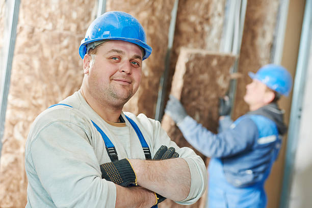 Best Home Insulation Services  in Rkesburg, PA